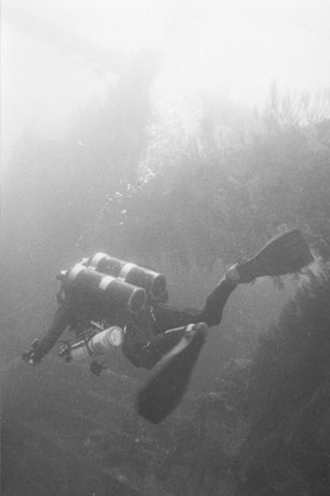 DIR Duiken - GUE Tech1 - Technisch Duiken in Florida