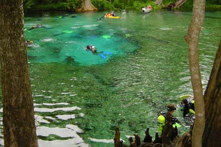 Grotduiken in Florida