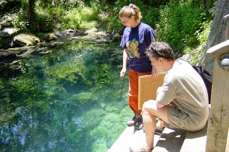 Grotduiken in Florida