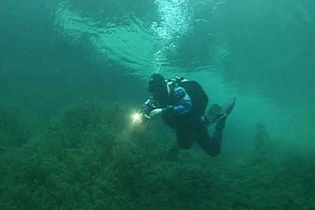 Grotduiken in Florida