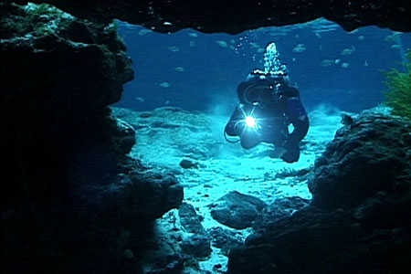 Grotduiken in Florida